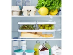 Rotho Kühlschrankorganizer-Set Cauma 2 x 1,2 l/2,6 l Transparent 3-teilig