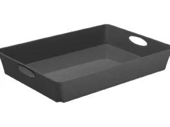 Rotho Living Box C4 Anthrazit 4,5 l