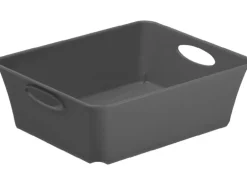 Rotho Living Box C6 Anthrazit 1 l