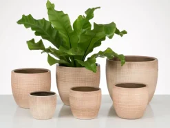 Scheurich Übertopf 866 Ø 25 cm Canela