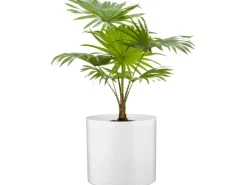 Scheurich Übertopf 828 Ø 19 cm Panna