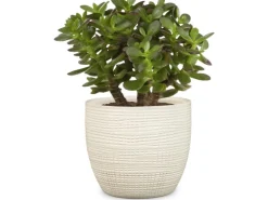 Scheurich Übertopf 866 Ø 25 cm Vainilla