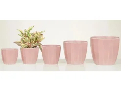 Scheurich Übertopf 939 Ø 10 cm x 9 cm Rose Elegance