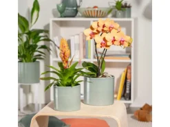 Scheurich Übertopf 828 Ø 16 cm x 15 cm Sage Grün