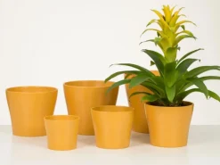 Scheurich Übertopf 808 Ø 21 cm x 19 cm Curcuma