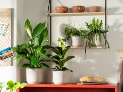 Scheurich Übertopf 980 Ø 15 cm x 13,3 cm Basalt