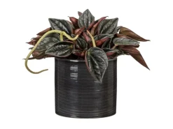 Scheurich Übertopf 828 Classic Mix Ø 9 cm x 8,5 cm Farbenauswahl