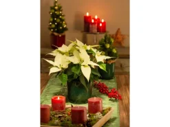 Scheurich Übertopf Keramik Ø 14,9 cm x 13,5 cm Mystic Green Volumen 1,332 l