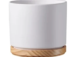 Scheurich Übertopf mit Holzuntersetzer 799 Ø 22 cm Weiß Matt