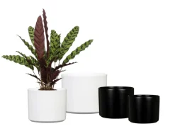 Scheurich Übertopf Monaco 631 Ø 32 cm x 31 cm Panna