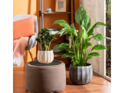 Scheurich Übertopf Runa 784 Ø 17 cm x 14 cm Washed Grau