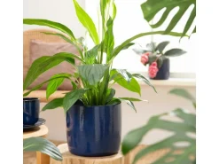 Scheurich Übertopf Solido 900 Ø 21 cm x 19,3 cm Mystic Blau