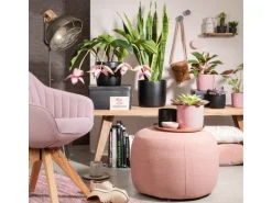 Scheurich Übertopf Solido 900 Ø 18 cm x 16 cm Rosea