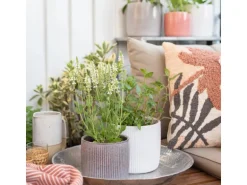 Scheurich Übertopf Solido Linea 909 Ø 21 cm x 19,3 cm Seashell