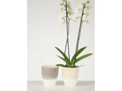 Scheurich Orchideengefäß 650 Ø 13 cm Vanilla Cream