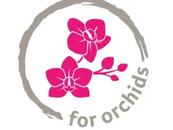 Scheurich Orchideentopf 608 Ø 13 cm x 17 cm Powder Rose