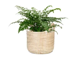 Scheurich Pflanzgefäß 514 Ø 22 cm x 18,5 cm Weiß