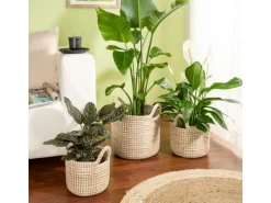 Scheurich Pflanzgefäß 514 Ø 36 cm x 34 cm Weiß