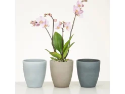 Scheurich Pflanzgefäß 620 Ø 13 cm x 15 cm Taupe Stone