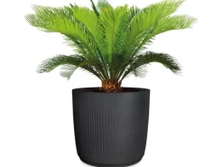 Scheurich Pflanzgefäß Linetto Ø 28,6 cm Stony Black