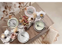 Seltmann Weiden Amina Starter-Set 16-teilig Rosé