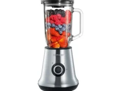 Severin Standmixer SM 3734 Edelstahl Schwarz