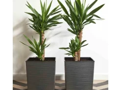 Siena Garden Pflanzgefäß Modern Biron Graphit 40x40x41,5 cm