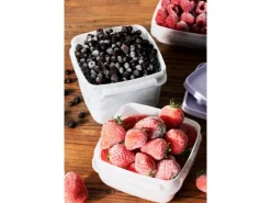 SmartStore Gefrierdose Frost 0,3 l Lavendel 6 Stück