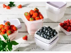 SmartStore Gefrierdose Frost 0,3 l Lavendel 6 Stück