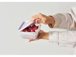 SmartStore Gefrierdose Frost 0,5 l Lavendel 5 Stück