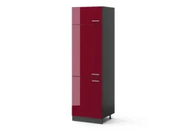Vicco Kühlumbauschrank R-Line Hochschrank für die Küche Bordeaux Hochglanz/Anthrazit 60 cm