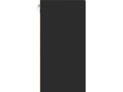 vidaXL Hängeschrank Riga Schwarz 30x29,5x60 cm Holzwerkstoff 854167