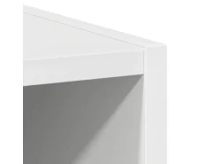 vidaXL Hängeschrank Riga Weiß 40 x 29,5 x 80 cm Holzwerkstoff 884442