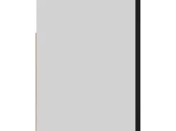 vidaXL Hängeschrank Schwarz 60x31x40 cm Holzwerkstoff