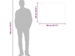 vidaXL Küchenrückwand Schwarz 80x60 cm Hartglas 249486