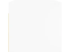 vidaXL Wandschrank mit Glastüren Weiß 68,5x37x35 cm