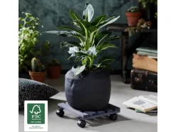 Wagner Multi Roller Nature Tragkraft 100 kg 290 mm x 290 mm Anthrazit FSC®