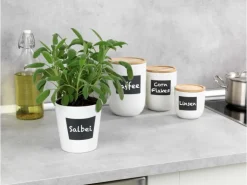 Wenko Aufbewahrungsdose Waia 0,8 Liter