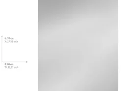 Wenko Glasrückwand Silber 60 cm x 70 cm