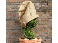 Winterschutz Jutesack Natur im Duo-Pack 60 cm x 80 cm