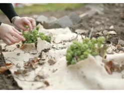 Winterschutzmatte Jute-Filz Natur 50 cm x 150 cm